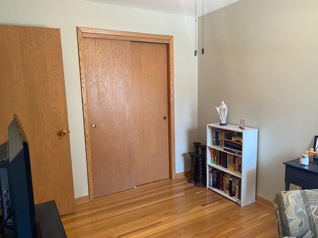 713 Maple Dr, Aurora, MN 55705 - bedroom featuring wood finished floors, a closet, and baseboards