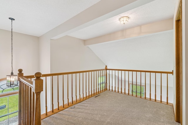 13203 Zion St NW, Coon Rapids, MN 55448 - photo 17