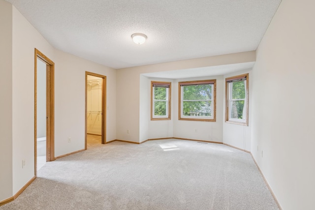 13203 Zion St NW, Coon Rapids, MN 55448 - photo 19