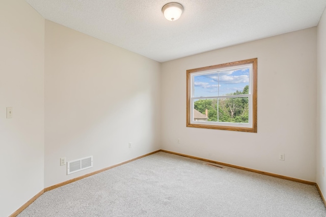 13203 Zion St NW, Coon Rapids, MN 55448 - photo 22
