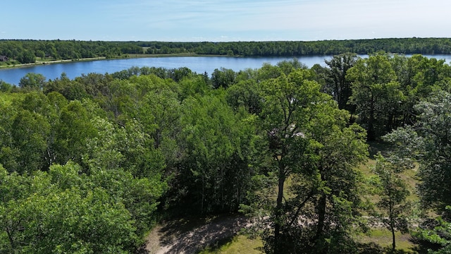 13018 Lumberjack Rd NW Unit 1, Alaska Twp, MN 56676 - photo 25