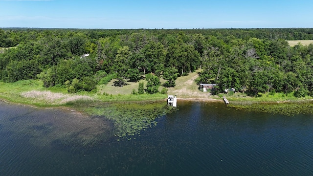 13018 Lumberjack Rd NW Unit 1, Alaska Twp, MN 56676 - photo 26
