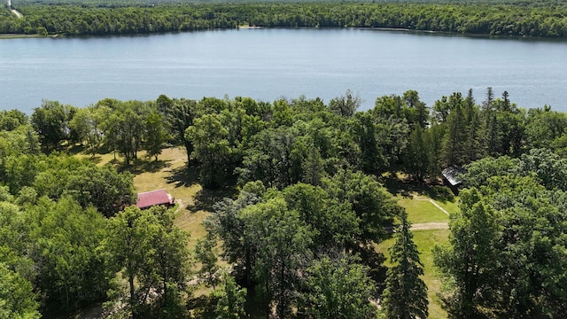 13018 Lumberjack Rd NW Unit 1, Alaska Twp, MN 56676 - photo 35