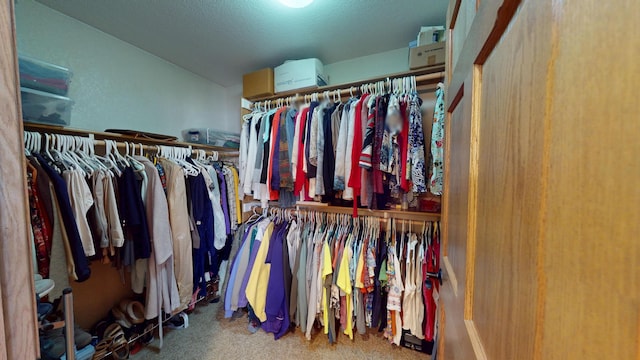 spacious closet with carpet flooring and lofted ceiling