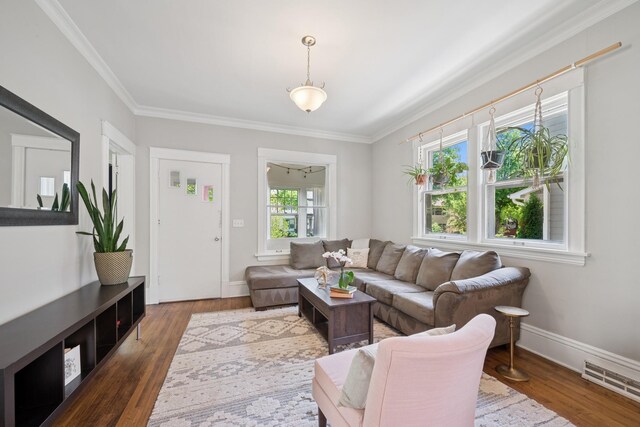 4336 Aldrich Ave S, Minneapolis, MN 55409 - living room with wood finished floors, baseboards, and ornamental molding