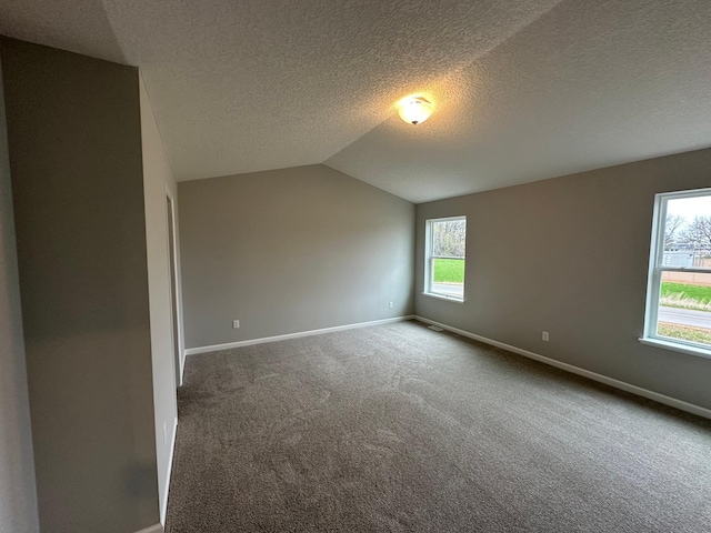 additional living space with carpet, a textured ceiling, vaulted ceiling, and baseboards