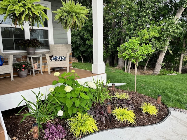 view of yard featuring a wooden deck