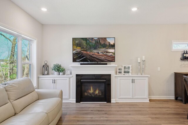living area with a glass covered fireplace, light wood-style flooring, and a wealth of natural light