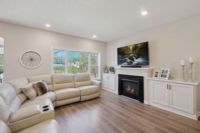 1519 80th St, Victoria, MN 55386 - living room with light wood-style floors, a glass covered fireplace, recessed lighting, and a textured ceiling