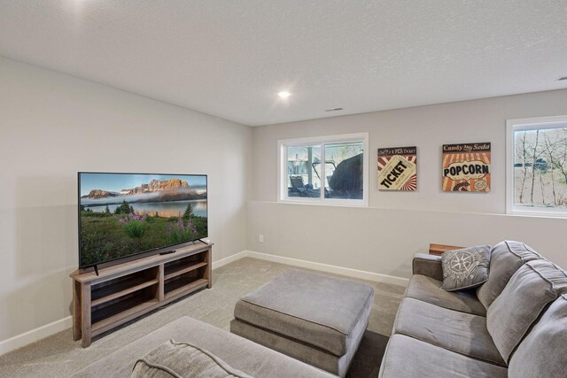 1519 80th St, Victoria, MN 55386 - carpeted living room featuring a textured ceiling, baseboards, and recessed lighting