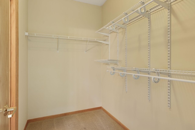 645 1st St Unit 411, Minneapolis, MN 55401 - walk in closet with carpet floors
