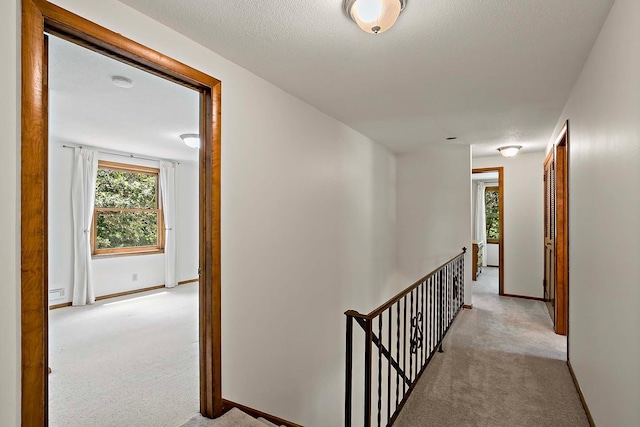 10325 10th Avenue Cir S, Bloomington, MN 55420 - photo 19