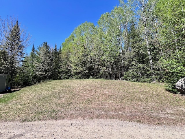 4832 Ambassador Point Ct, Leiding Twp, MN 55771 - view of yard