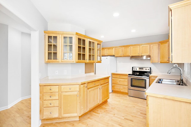 kitchen featuring freestanding refrigerator, light brown cabinets, a sink, and electric stove
