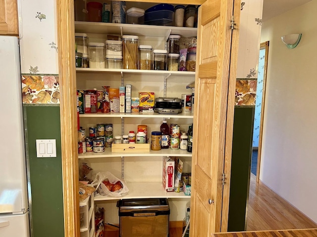 16335 County Road 2, Brainerd, MN 56401 - view of pantry