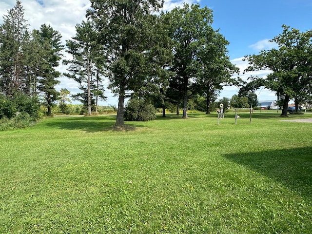 16335 County Road 2, Brainerd, MN 56401 - view of green lawn
