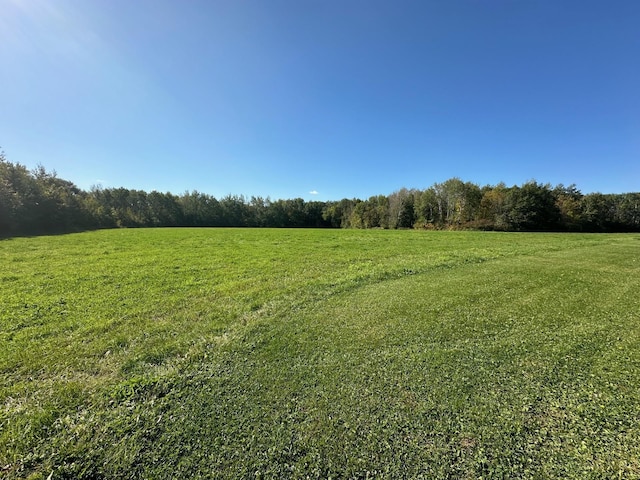 16335 County Road 2, Brainerd, MN 56401 - view of grassy yard with a view of trees and a rural view