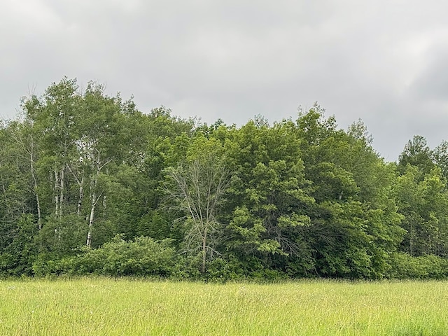 16335 County Road 2, Brainerd, MN 56401 - photo 15