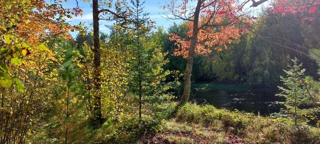 0 County Road 91, Blackberry Twp, MN 55744