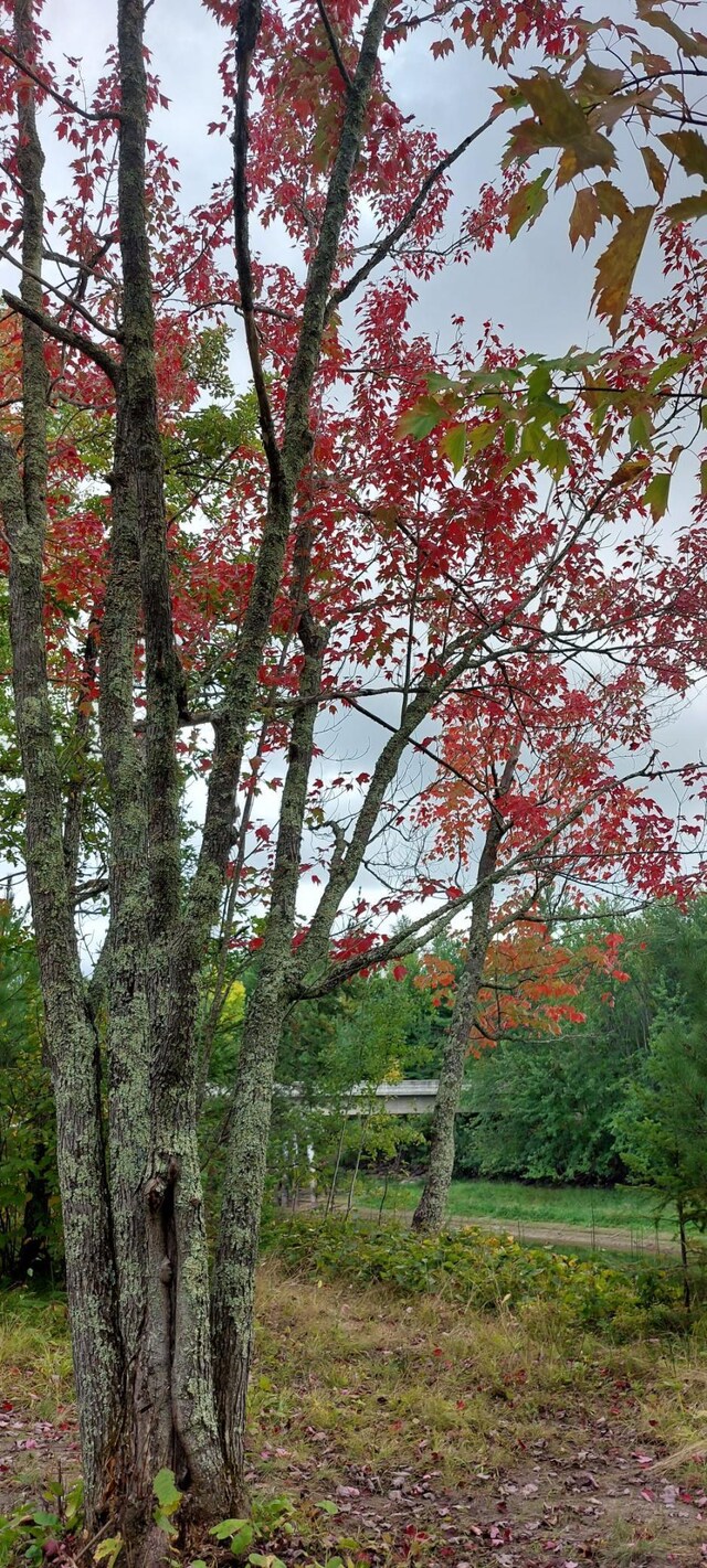 0 County Road 91, Blackberry Twp, MN 55744