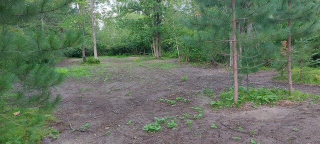 0 County Road 91, Blackberry Twp, MN 55744