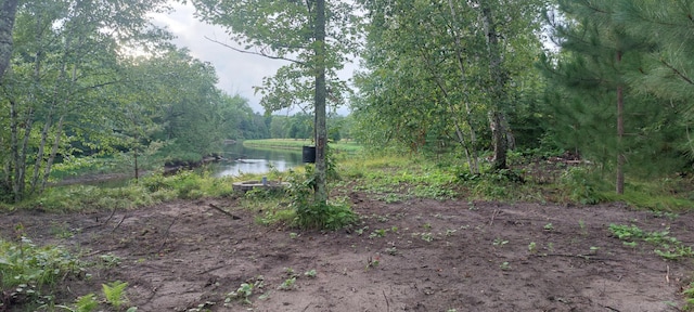 0 County Road 91, Blackberry Twp, MN 55744 - photo 9