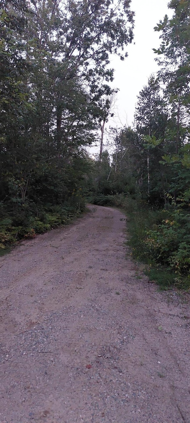 0 County Road 91, Blackberry Twp, MN 55744 - photo 11