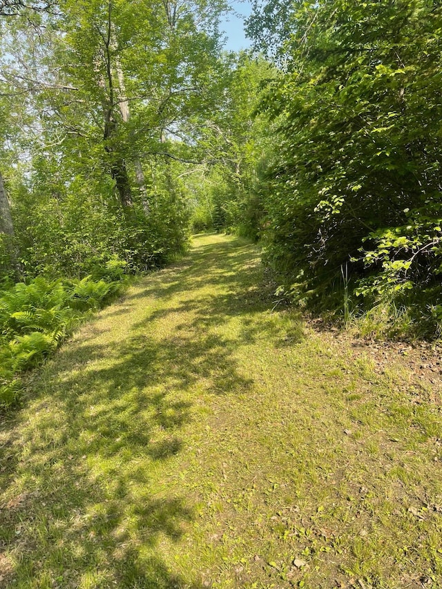 0 County Road 91, Blackberry Twp, MN 55744 - photo 24