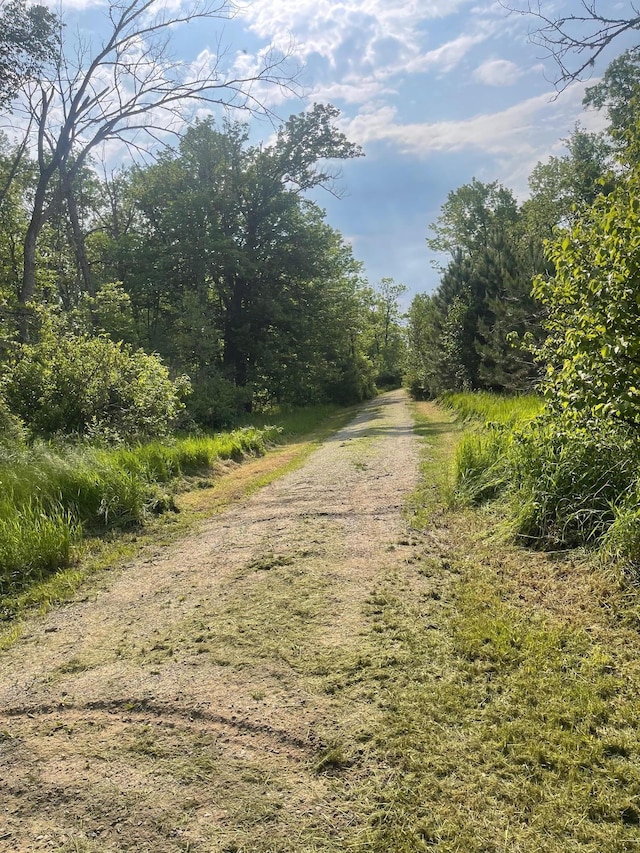 0 County Road 91, Blackberry Twp, MN 55744 - photo 25