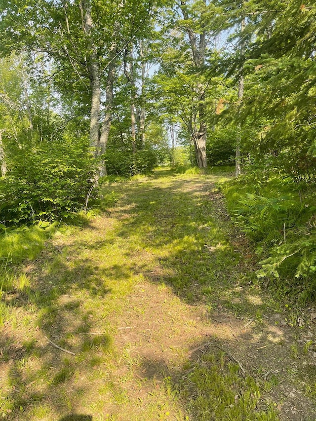0 County Road 91, Blackberry Twp, MN 55744 - photo 26