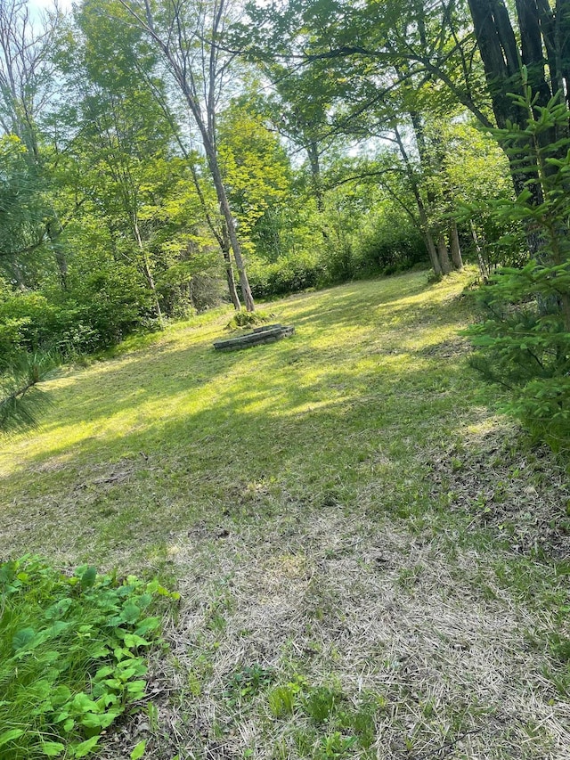 0 County Road 91, Blackberry Twp, MN 55744 - photo 27