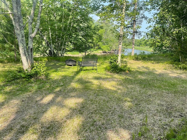 0 County Road 91, Blackberry Twp, MN 55744 - photo 28