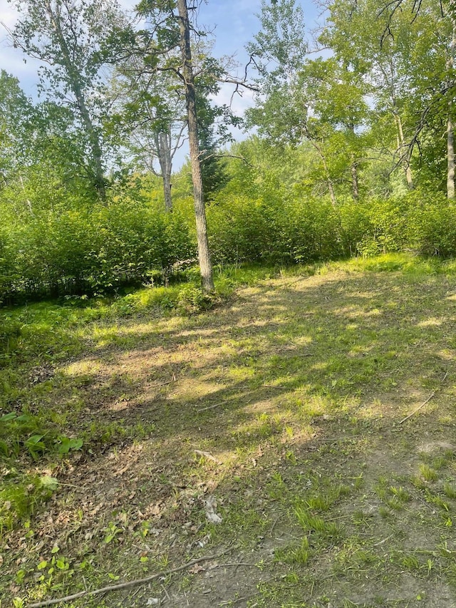 0 County Road 91, Blackberry Twp, MN 55744 - photo 29