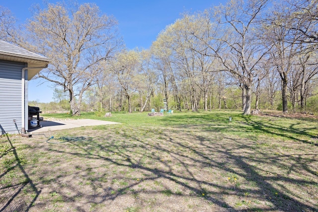 view of grassy yard
