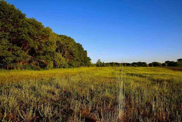 view of undeveloped land featuring rural landscape