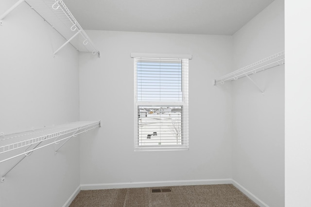 521 Douglas Dr S, Annandale, MN 55302 - walk in closet featuring carpet flooring