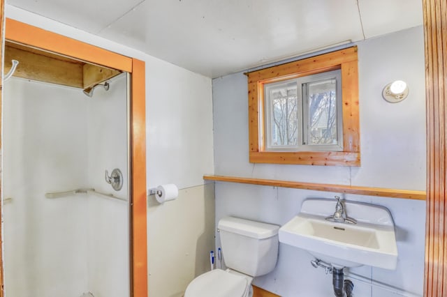 full bathroom featuring a sink, walk in shower, and toilet