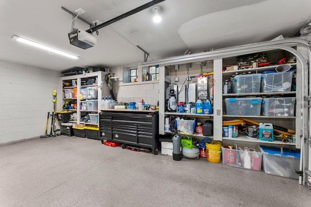 6601 Blackfoot Pass, Edina, MN 55439 - garage with concrete block wall and a garage door opener