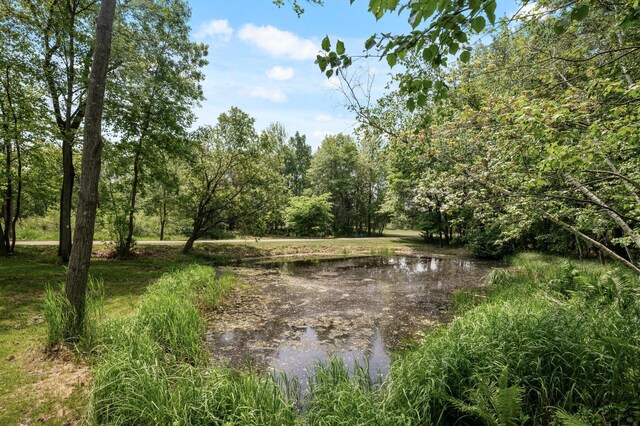 20107 Naples St NE, East Bethel, MN 55011 - photo 48
