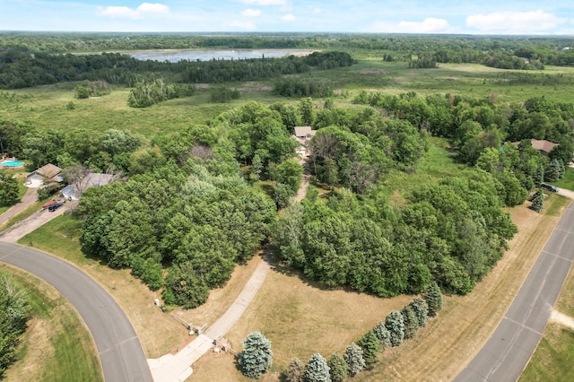 20107 Naples St NE, East Bethel, MN 55011 - photo 61