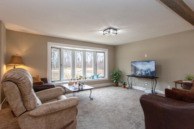 9240 Larkspur Ct, Brainerd, MN 56401 - photo 10