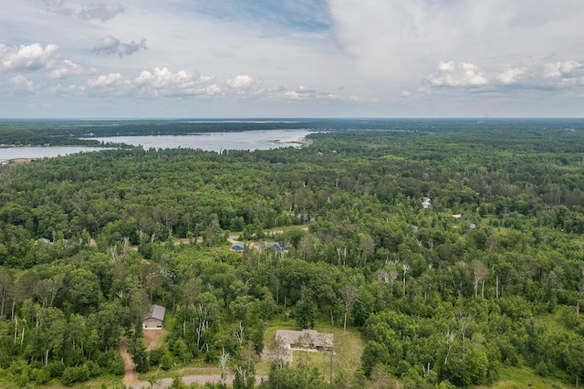 9240 Larkspur Ct, Brainerd, MN 56401 - photo 37