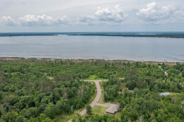 9240 Larkspur Ct, Brainerd, MN 56401 - photo 40