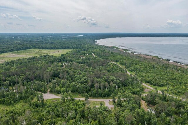 9240 Larkspur Ct, Brainerd, MN 56401 - photo 41