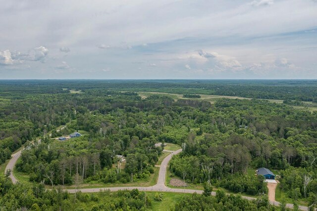 9240 Larkspur Ct, Brainerd, MN 56401 - photo 43