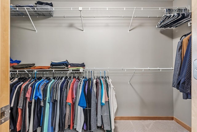 294 Spring St, Saint Paul, MN 55102 - walk in closet with carpet flooring