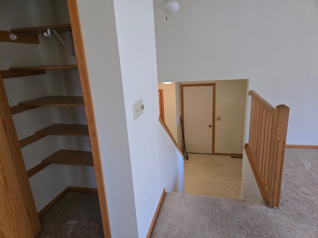 staircase with baseboards and carpet