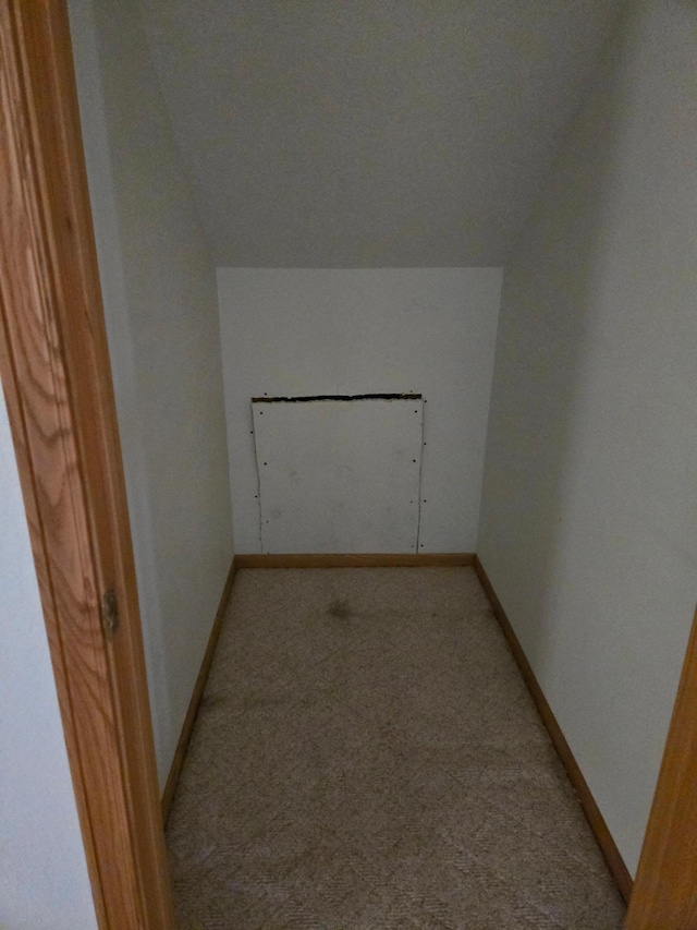 bonus room featuring baseboards and light carpet