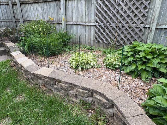 115 Geranium Ave W, Saint Paul, MN 55117 - view of yard