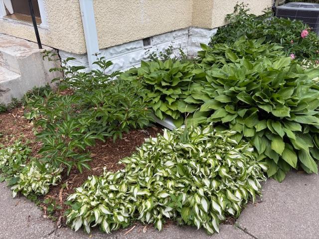 115 Geranium Ave W, Saint Paul, MN 55117 - exterior view of a cooling unit
